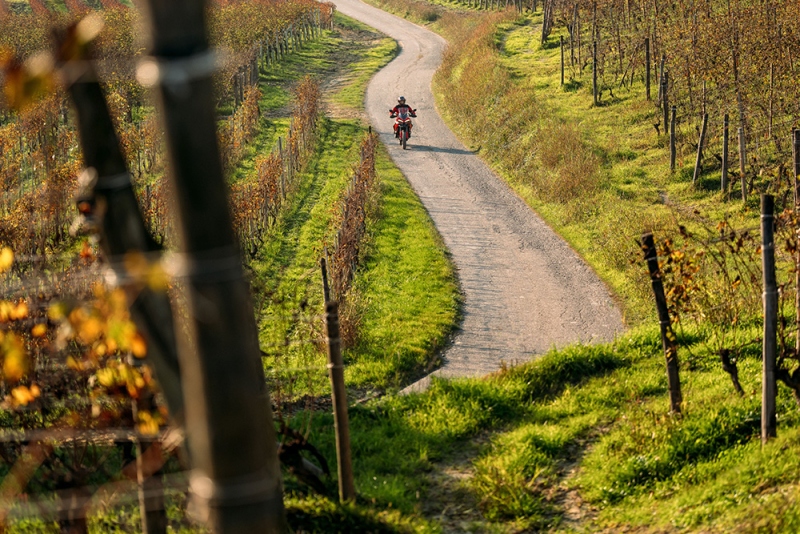 Ducati-Multistrada-V2-2025-akcja-44