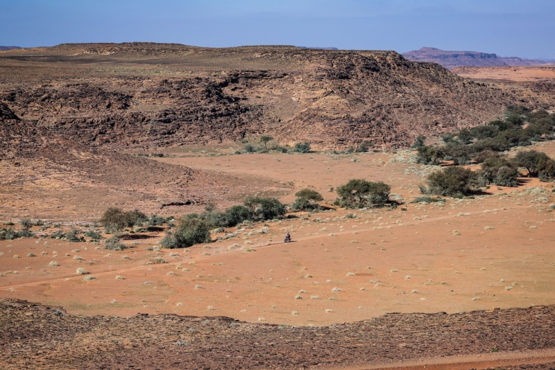 Daniel Sanders on his KTM of the Red Bull KTM Factory Racing Team during the Stage 4 of the Dakar 2025 on January 8, 2025 between Al Henakiyah and Al Ula, Saudi Arabia // DPPI / Red Bull Content Pool // SI202501080716 // Usage for editorial use only //