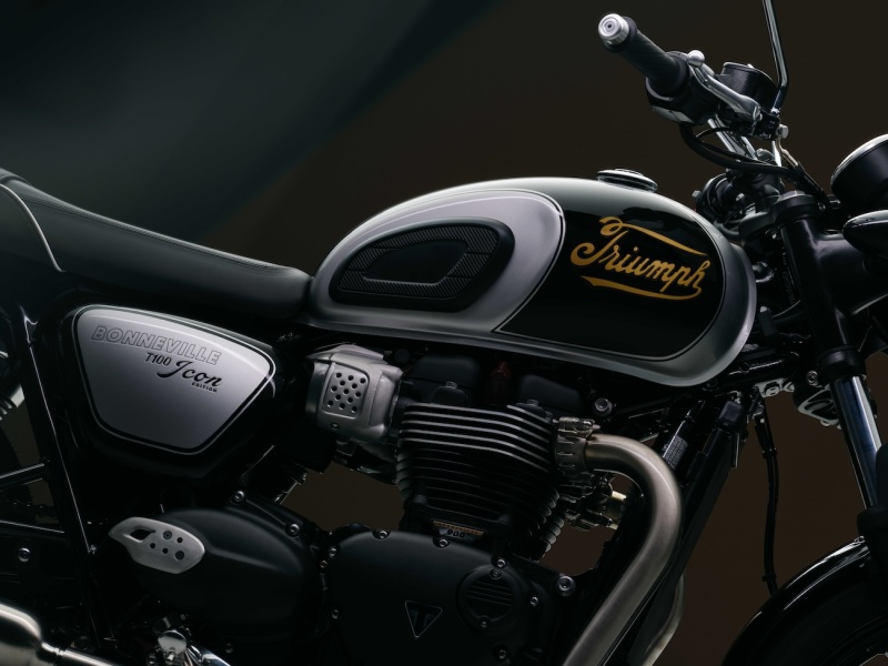 Triumph-Bonneville-T100-2025-6-Icon-Edition