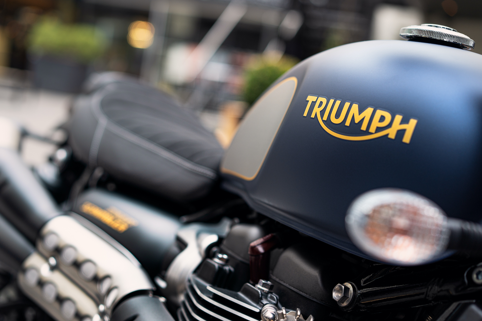 Triumph Street Scrambler Gold Line Edition